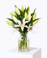 Lily Vase