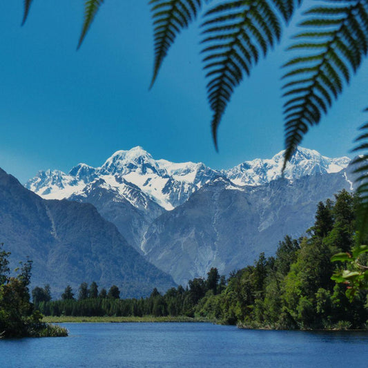Floral Traditions in New Zealand Culture
