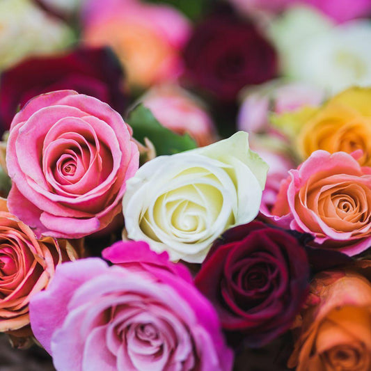 Why Roses Are Given On Valentine's Day And What Are Some Rose Alternatives